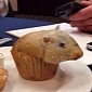 Photo of the Day: This Muffin Looks Just like a Hamster