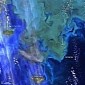 Phytoplankton Bloom Near Alaska Revealed in Satellite Image