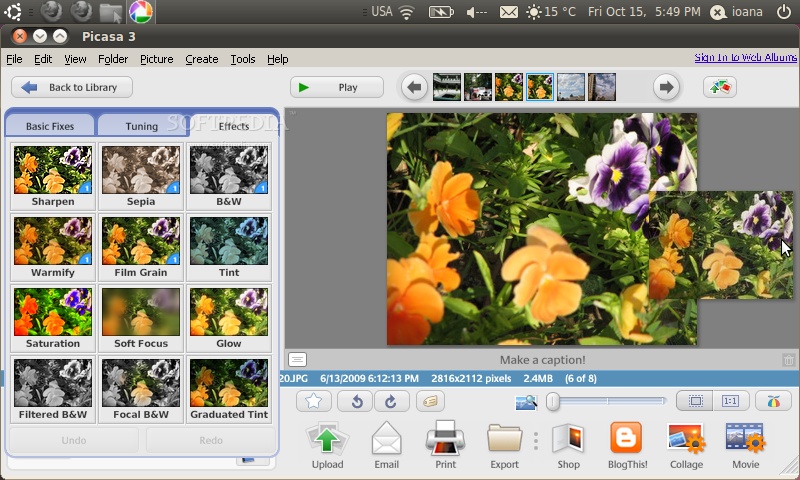 what to use instead of picasa