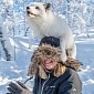 Picture of the Day: Arctic Fox Jumps on Woman's Head