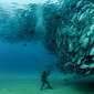 Picture of the Day: Diver Comes Face to Face with Fish “Tornado”