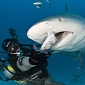 Picture of the Day: Diver Hand Feeds Bull Shark