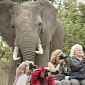 Picture of the Day: Elephant Photobombs Unsuspecting Tourists