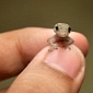 Picture of the Day: Gecko Half the Size of a Human Thumbnail Smiles for the Camera