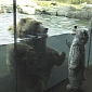 Picture of the Day: Grizzly Bear Is Fascinated by Little Boy's Choice of Outfit