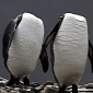 Picture of the Day: Headless Penguins Strike a Pose