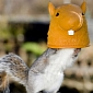 Picture of the Day: Mutant Squirrel Shows Up in Southampton