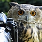 Picture of the Day: Owl Gets Behind the Camera, Acts like a Photographer