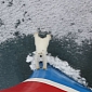 Picture of the Day: Polar Bear Tries to Push Ship Out of Its Territory