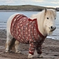 Picture of the Day: Ponies Sport Haute Couture Jumpers