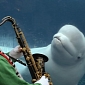 Picture of the Day: Santa Serenades Beluga Whale