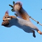 Picture of the Day: Squirrel Has Identity Crisis, Thinks It's Superman