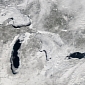 Picture of the Day: The Great Lakes' Ice Cover as Seen from Space