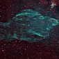 Picture of the Day: The Manatee Nebula, Formerly Known as W50