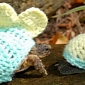Picture of the Day: Tortoise and Snail Wear Matching Sweaters