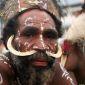 Pig DNA Shows How Early Humans Colonized the Pacific Islands