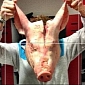 Pig's Head in Locker Prompts Retaliation by Stoke Player