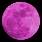 Pink Full Moon Set to Occur This April 25