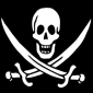 Piracy Has Helped the PC, Says PC Gaming Alliance Boss