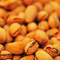 Pistachios and Other Nuts Lower Cholesterol