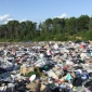 Plants Act as Green Caps at Landfills