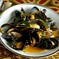 “Plastic Soup” Threatens Marine Wildlife