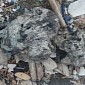 Plastic Trash Can Birth a New Type of Rock Material, Researchers Say