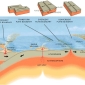 Plate Tectonics Determine Life on Other Planets