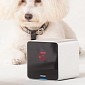 Play with Your Pet from Anywhere with the Petcube