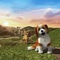 PlayStation Vita Pets Is Out Now, Lovable Virtual Puppies Are Looking for a Home
