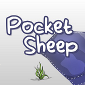 Pocket Sheep Arrives on Windows 8 – Free Download