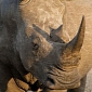 Poisonous, Bright Pink Rhino Horns Might Discourage Poachers