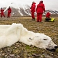 Polar Bear Starves to Death, Scientists Say Global Warming Is to Blame