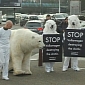 Polar Bears Boycott Volkswagen at Brussels Motor Show
