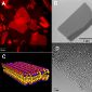 Polymer Nanosheet to Innovate Electronics