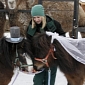 Ponies Get Married on Valentine’s Day, Camels Serve as Witnesses