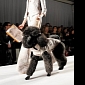 Poodle Walks the Runway, Steals the Spotlight from Professional Models