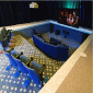 Pool-theater