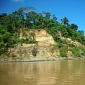 Pre-Colombian Civilizations Had Little Impact on Amazon Basin