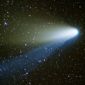 Pre-Life Molecules Present in Comets