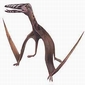 Prehistoric Flying Reptiles Were in Fact Humongous