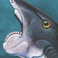 Prehistoric Shark Had Teeth That Looked and Worked like a Chainsaw