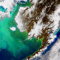Preventing Algal Blooms on the Atlantic Coast