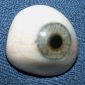Prosthetic Eyes to Become Hidden Cameras