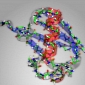 Protein Structures Revealed at Picosecond Timescales