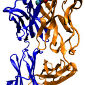 Protein Viewer Made Available by Elsevier