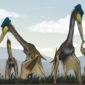 Pterosaurs Used All Four Legs for Take-Off