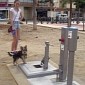 Public Toilet for Dogs Opens in Small Town in Spain