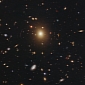 Puffy Elliptical Galaxy Is Missing Its Central Black Hole, but May Have Two Scattered About