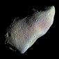 Puzzling Facts about Asteroids